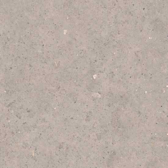 Dlažba Pastorelli Biophilic grey 80x80 cm mat P009419