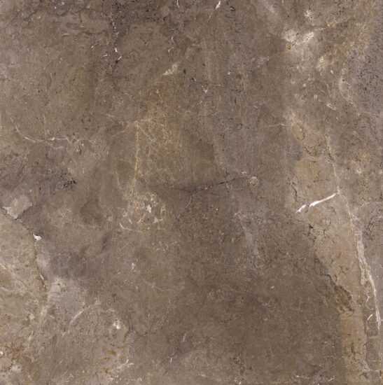 Dlažba Porcelaingres Royal Stone imperial brown 100x100 cm mat X1010383X6