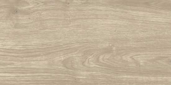 Dlažba Multi Salem sivá 30x60 cm mat SALEM36GR